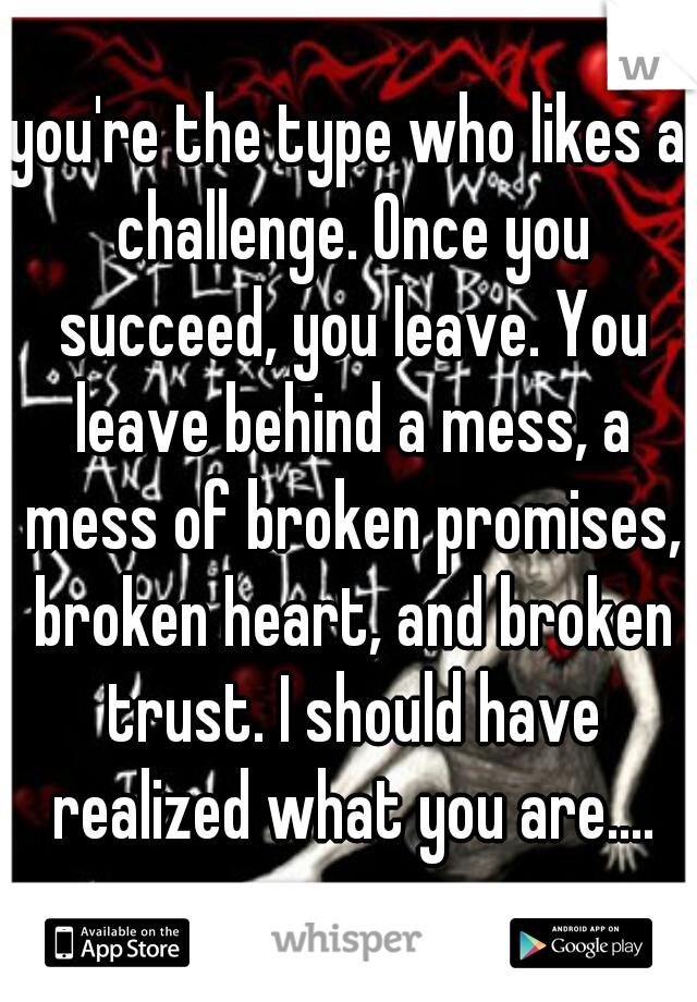 you're the type who likes a challenge. Once you succeed, you leave. You leave behind a mess, a mess of broken promises, broken heart, and broken trust. I should have realized what you are....