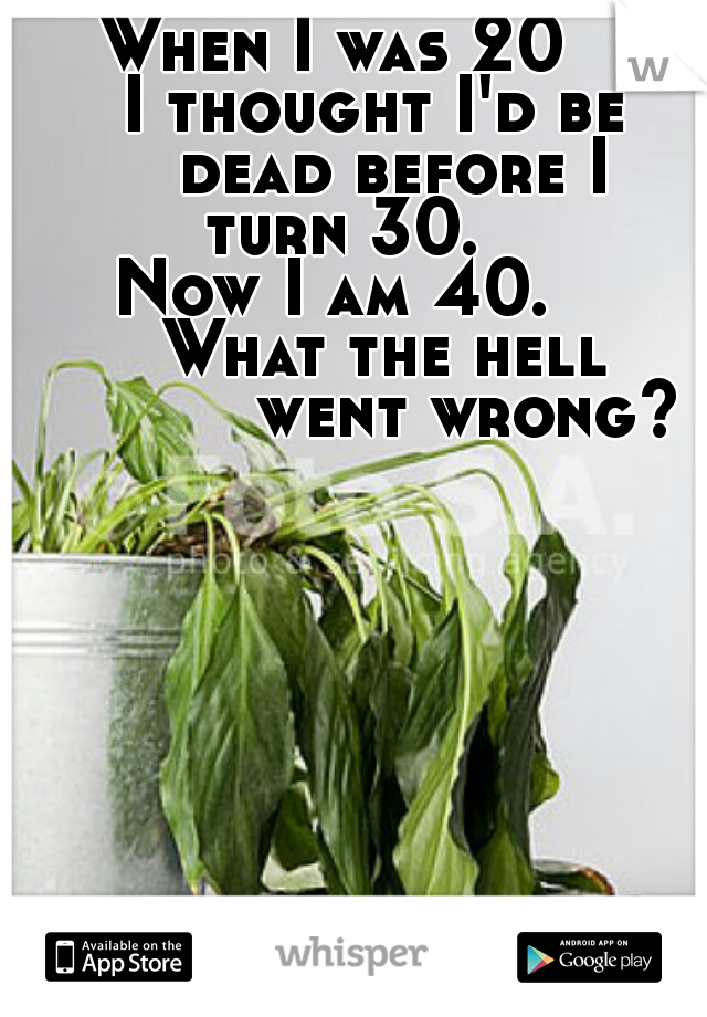 When I was 20
     I thought I'd be 
      dead before I turn 30.
Now I am 40.
      What the hell 
             went wrong?       