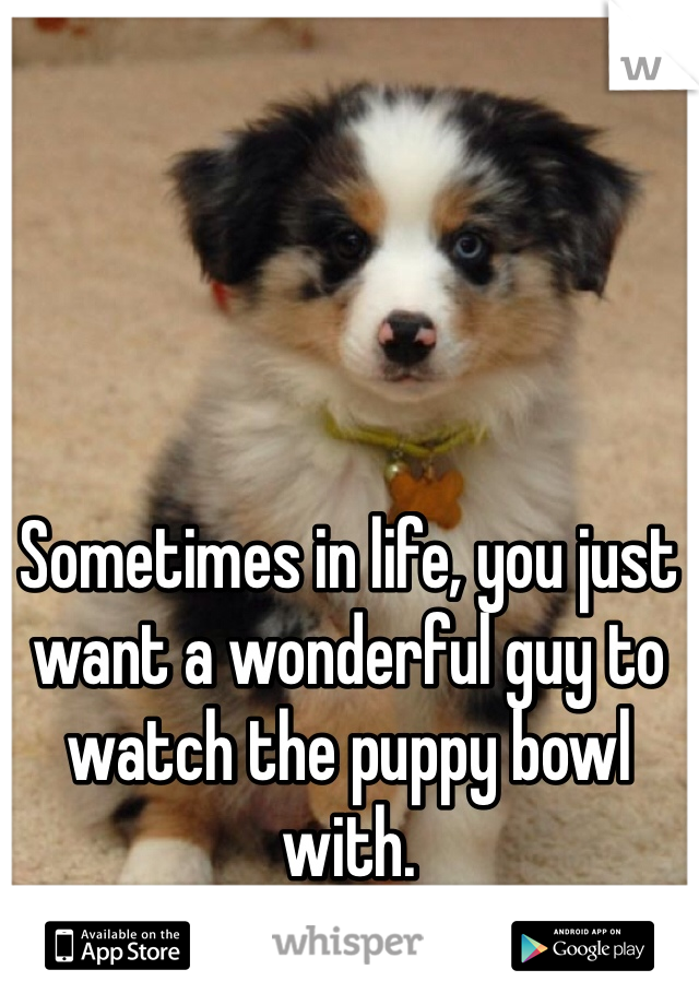 Sometimes in life, you just want a wonderful guy to watch the puppy bowl with.