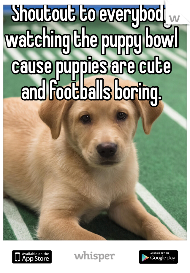 Shoutout to everybody watching the puppy bowl cause puppies are cute and footballs boring. 