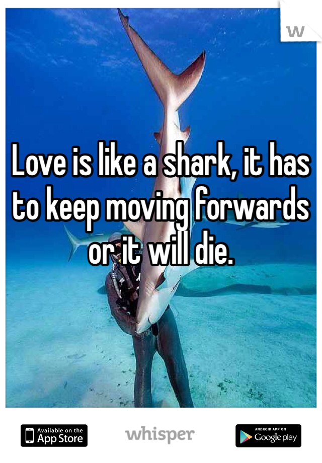 Love is like a shark, it has to keep moving forwards or it will die.