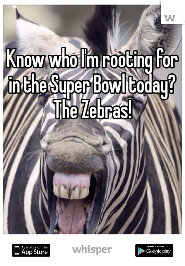 Know who I'm rooting for in the Super Bowl today? The Zebras!