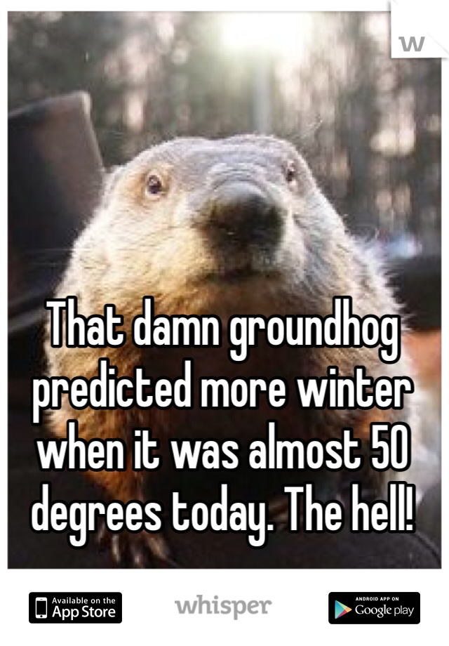 That damn groundhog
predicted more winter
when it was almost 50
degrees today. The hell!