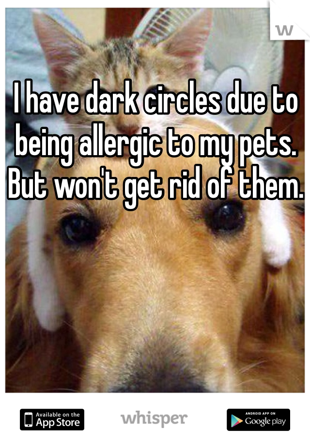 I have dark circles due to being allergic to my pets. But won't get rid of them. 