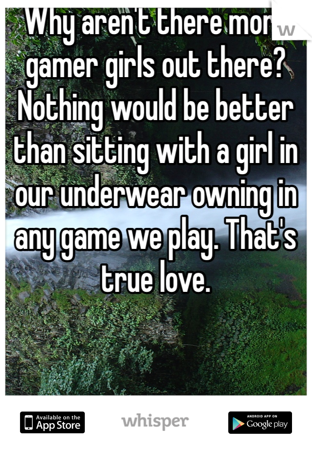 Why aren't there more gamer girls out there? Nothing would be better than sitting with a girl in our underwear owning in any game we play. That's true love.