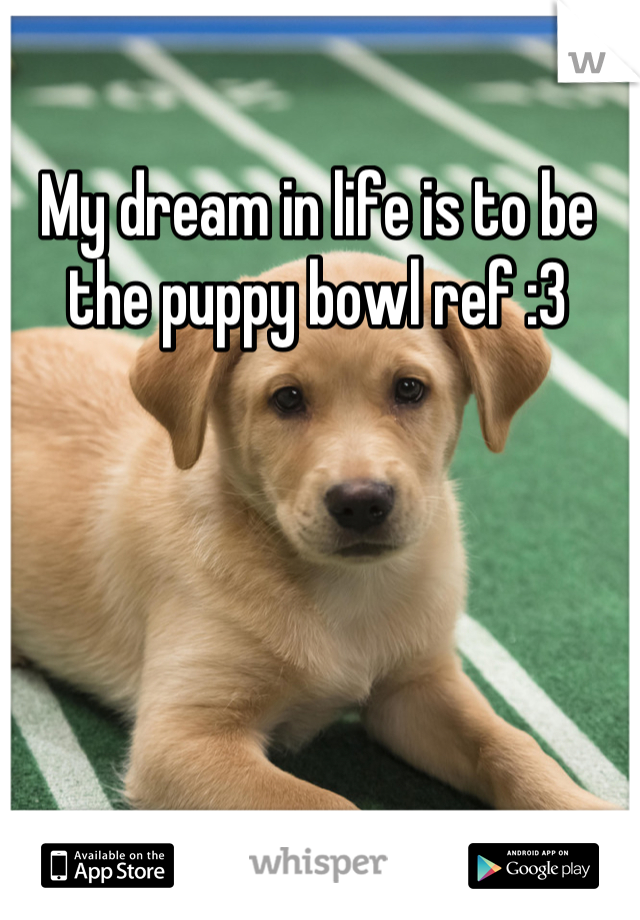 My dream in life is to be the puppy bowl ref :3