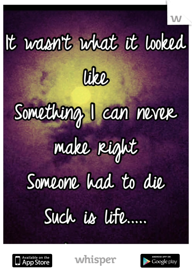 It wasn't what it looked like 
Something I can never make right 
Someone had to die 
Such is life.....
I suppose 