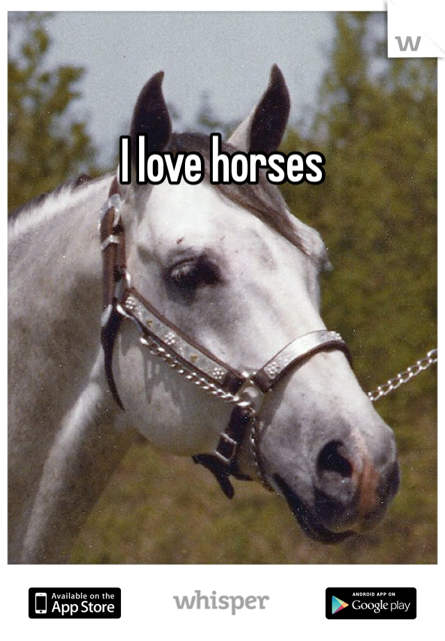 I love horses 