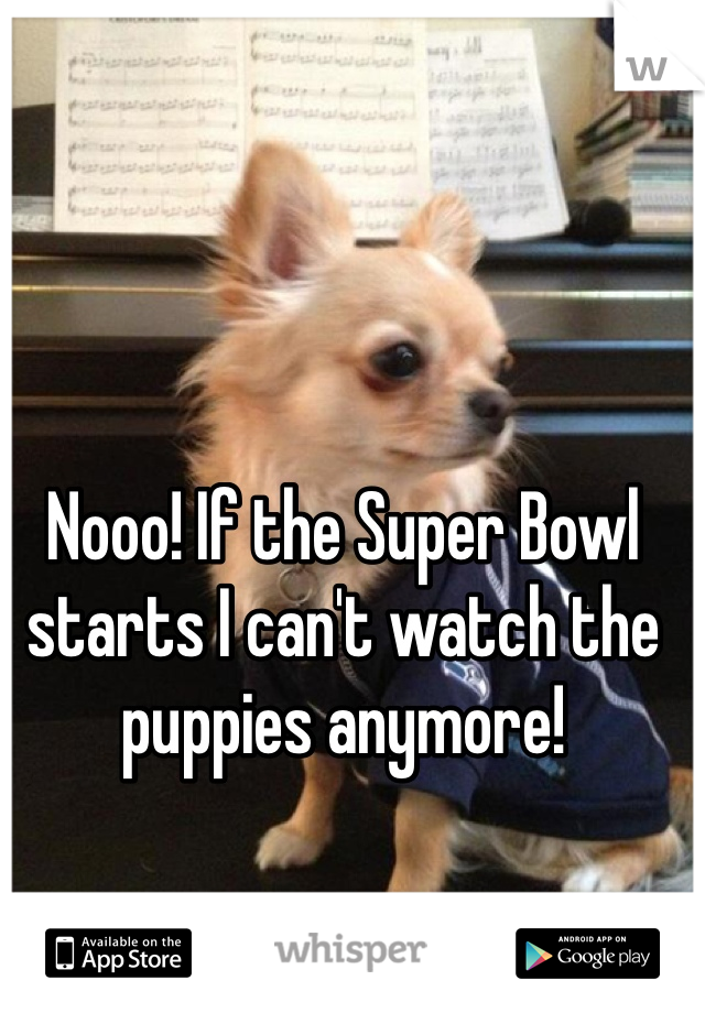 Nooo! If the Super Bowl starts I can't watch the puppies anymore!
