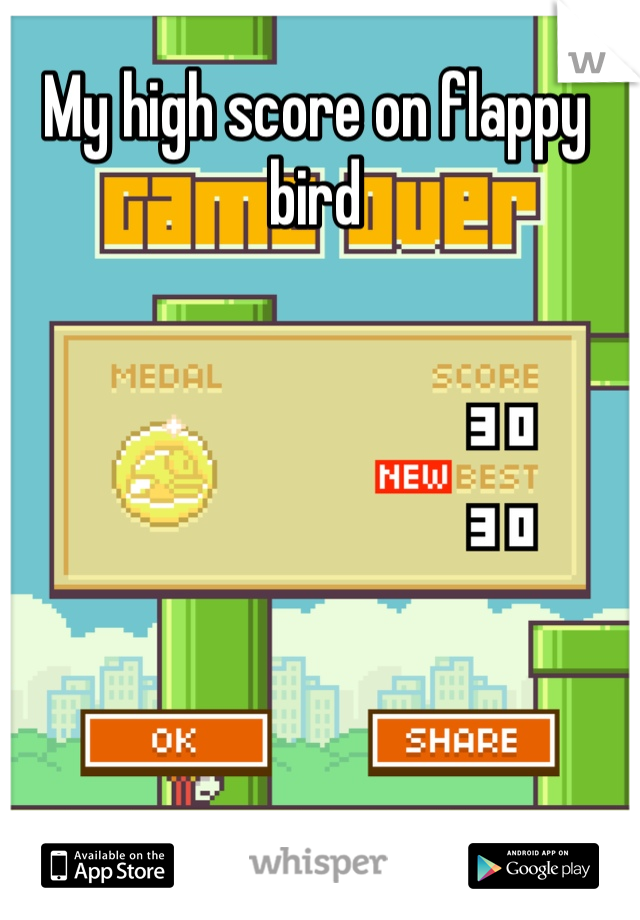 My high score on flappy bird