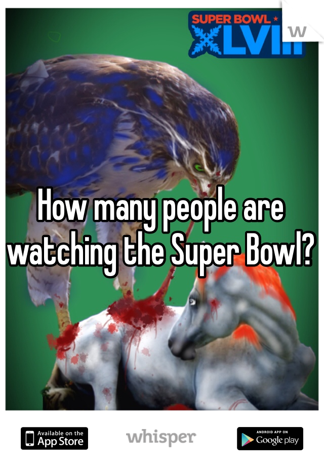 How many people are watching the Super Bowl? 