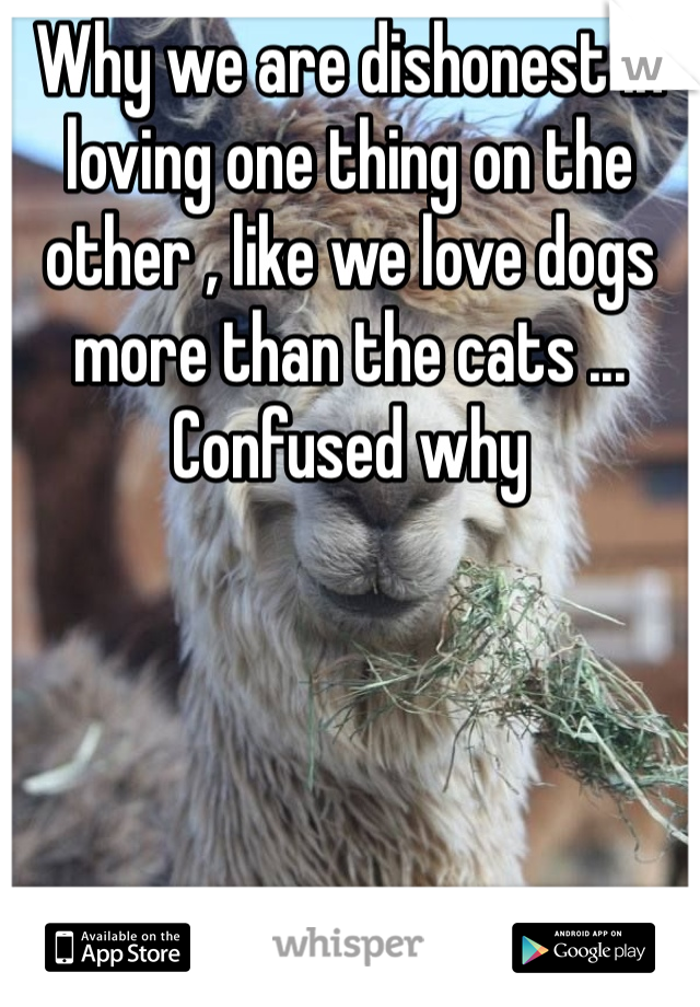 Why we are dishonest in loving one thing on the other , like we love dogs more than the cats ... Confused why 