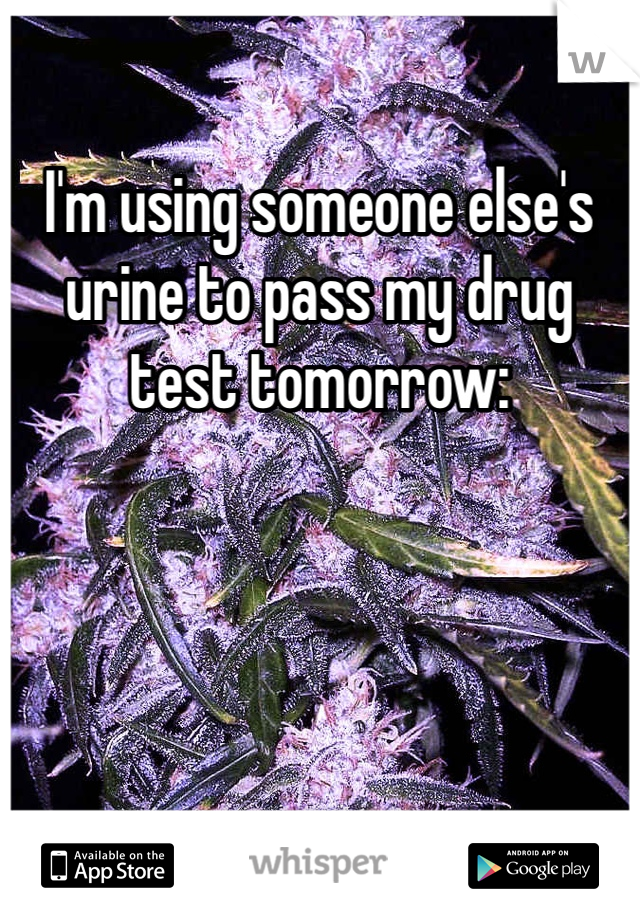 I'm using someone else's urine to pass my drug test tomorrow: