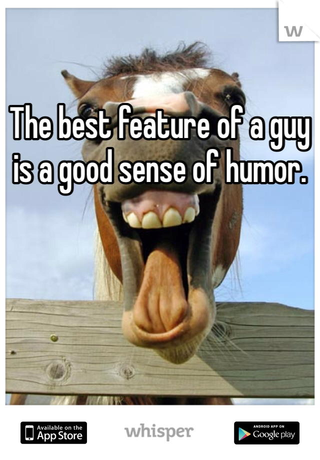 The best feature of a guy is a good sense of humor.