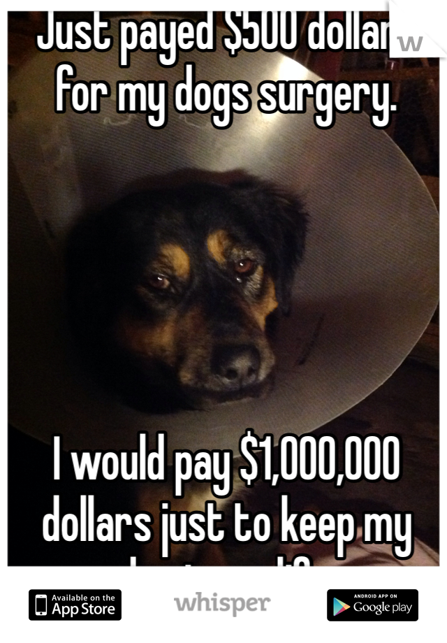 Just payed $500 dollars for my dogs surgery.





I would pay $1,000,000 dollars just to keep my dog in my life.