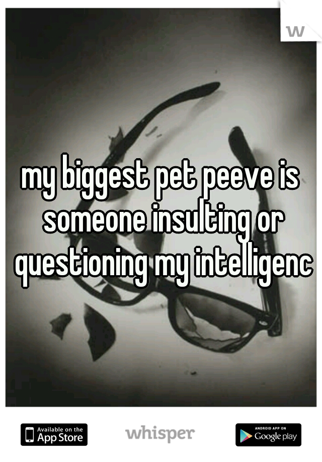 my biggest pet peeve is someone insulting or questioning my intelligence