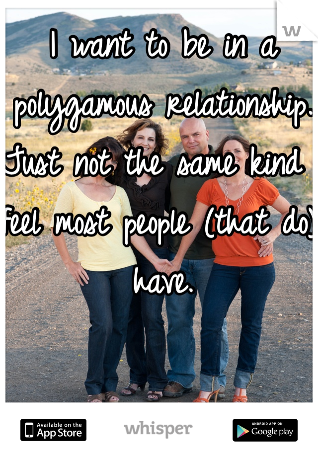 I want to be in a polygamous relationship. Just not the same kind I feel most people (that do)  have. 