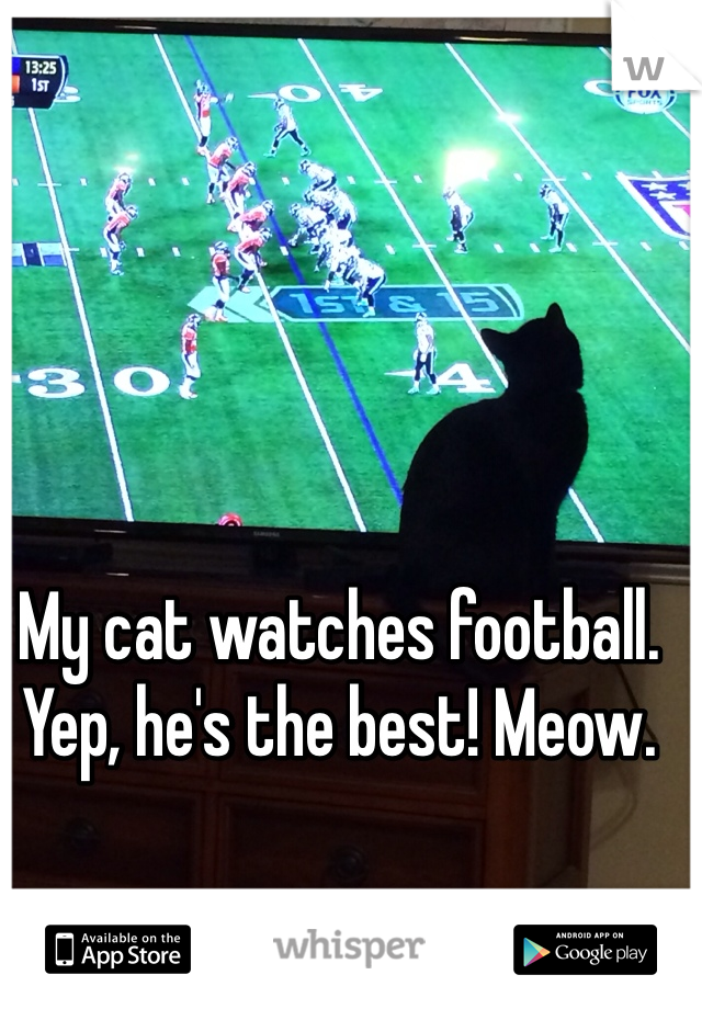 My cat watches football. 
Yep, he's the best! Meow. 