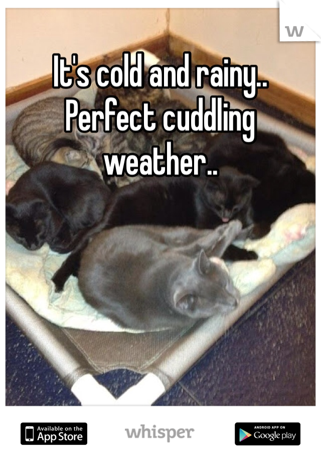 It's cold and rainy.. Perfect cuddling weather..