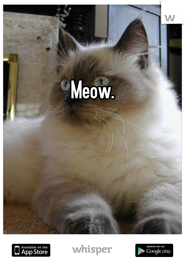 Meow. 