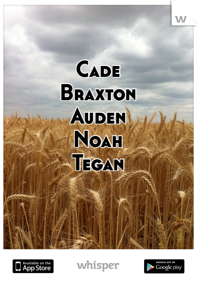 Cade
Braxton
Auden 
Noah
Tegan 