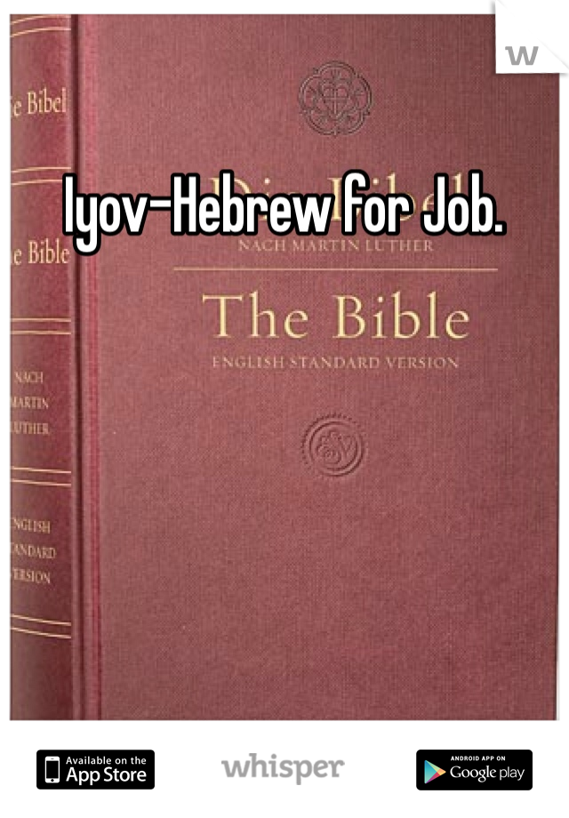 Iyov-Hebrew for Job. 