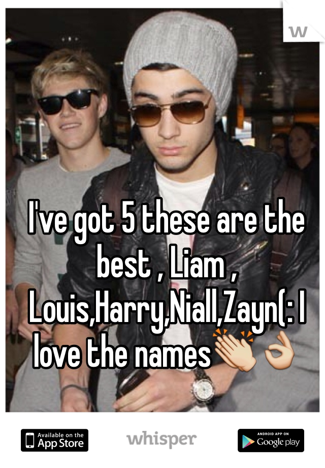 I've got 5 these are the best , Liam , Louis,Harry,Niall,Zayn(: I love the names👏👌