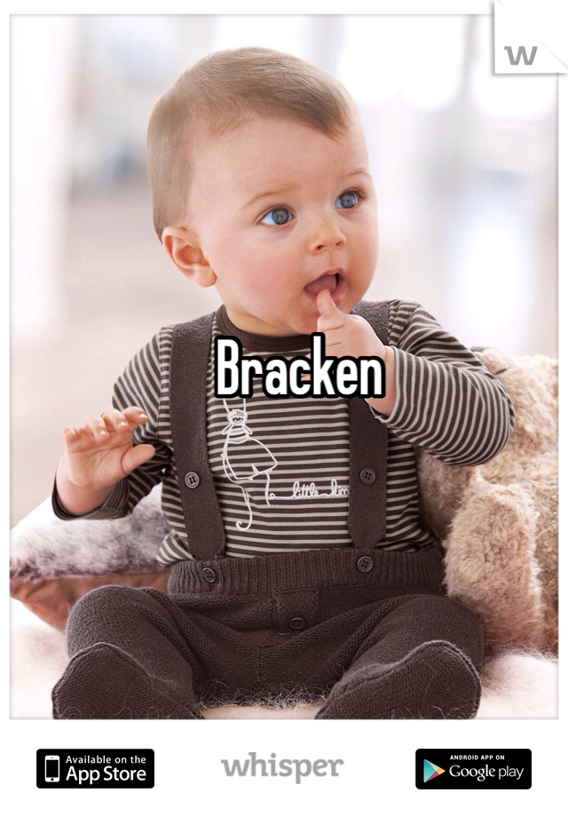 Bracken 