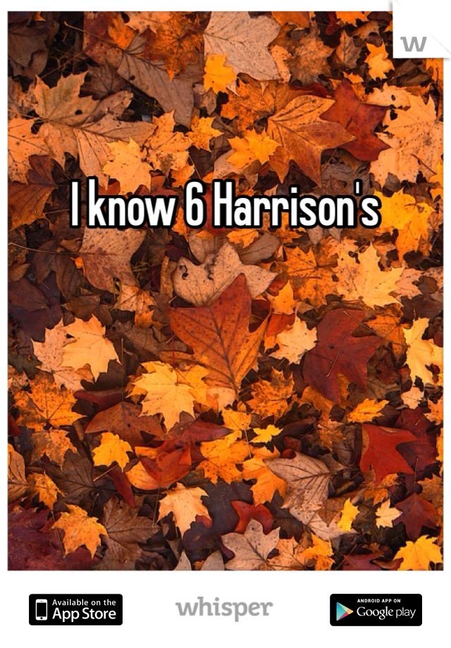 I know 6 Harrison's 