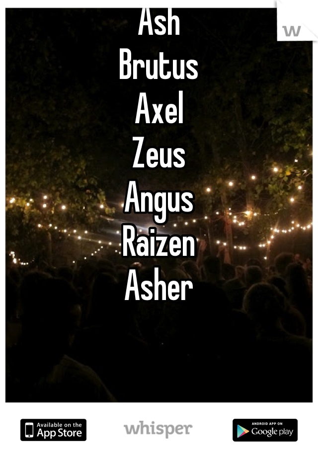 Ash
Brutus
Axel
Zeus
Angus
Raizen
Asher