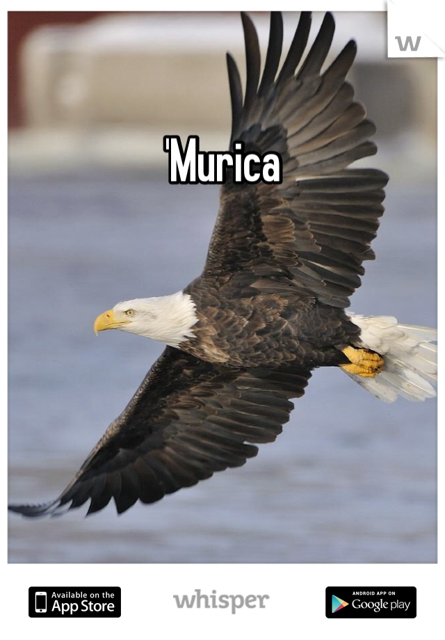 'Murica