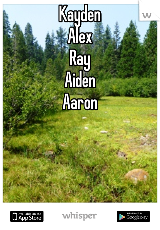 Kayden 
Alex
Ray
Aiden
Aaron
