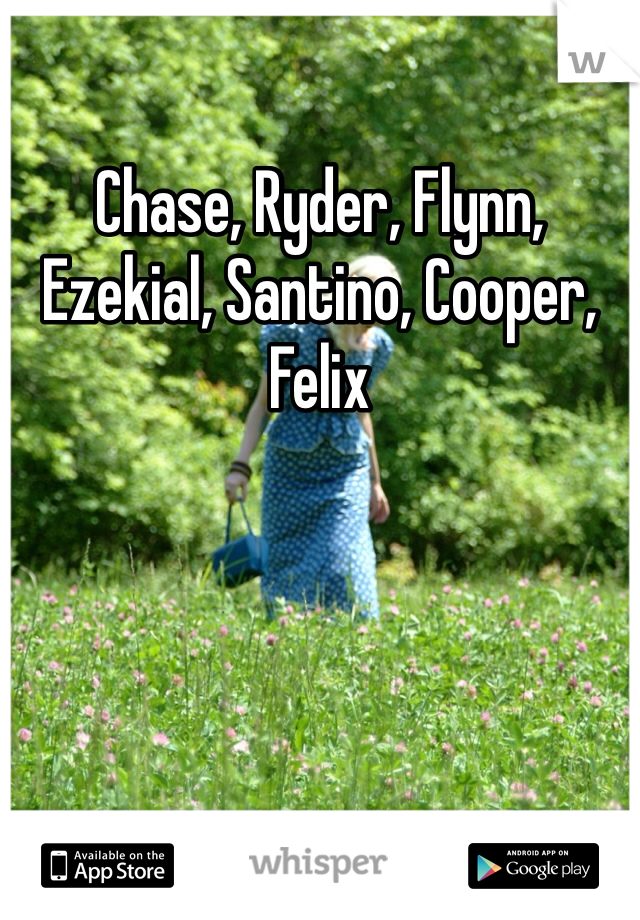 Chase, Ryder, Flynn, Ezekial, Santino, Cooper, Felix 