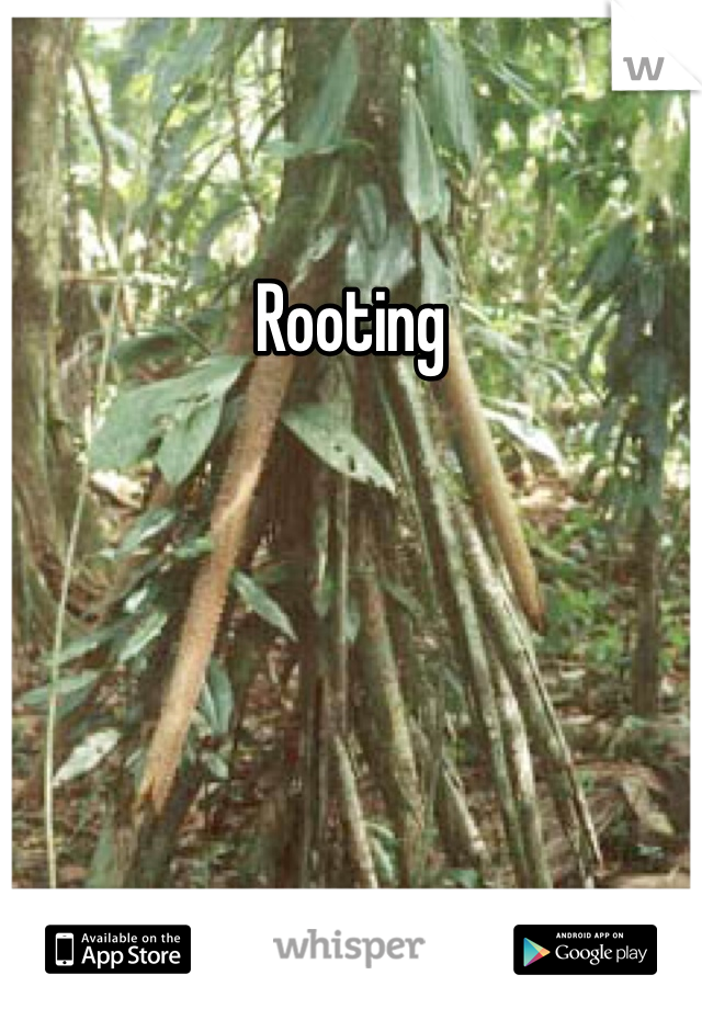 Rooting