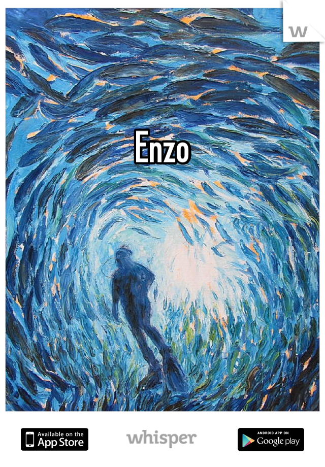 Enzo