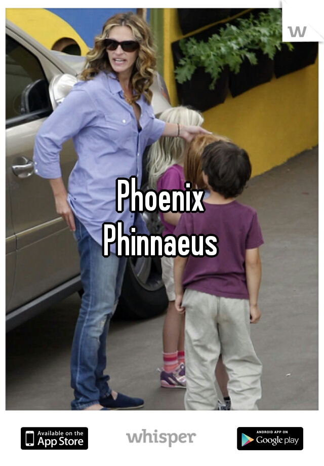 Phoenix
Phinnaeus