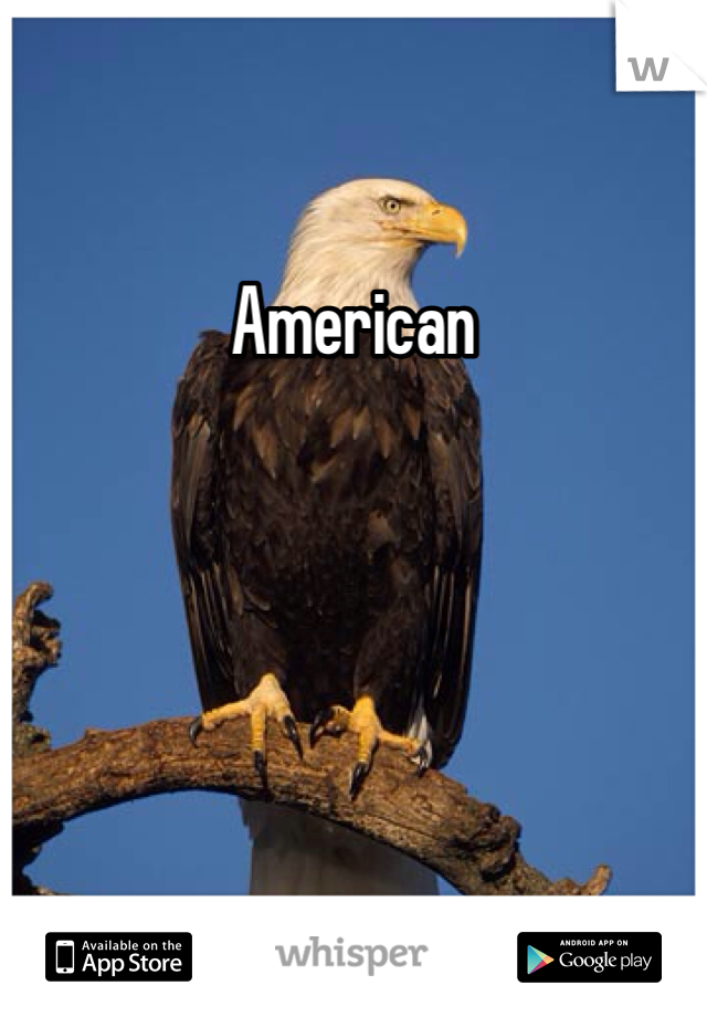 American
