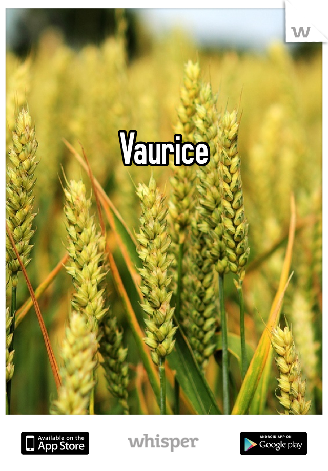 Vaurice 