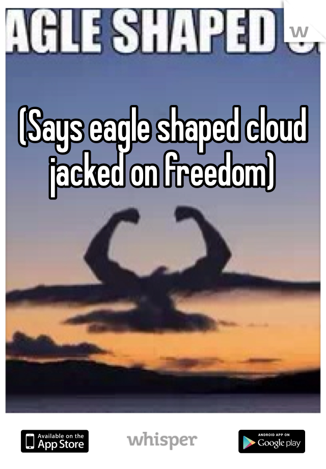 (Says eagle shaped cloud jacked on freedom)