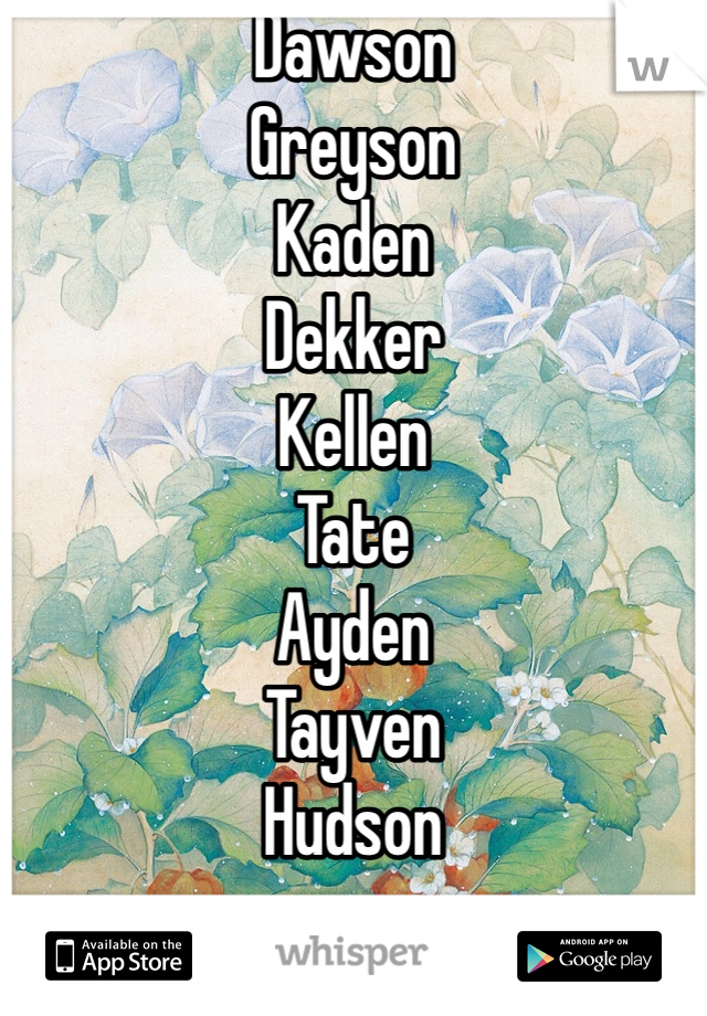 Dawson
Greyson
Kaden
Dekker
Kellen
Tate
Ayden
Tayven
Hudson
