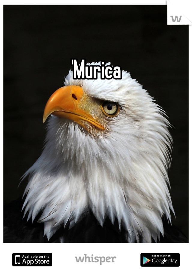 'Murica