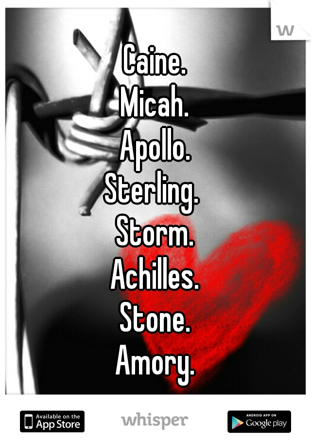 Caine.
Micah.
Apollo.
Sterling. 
Storm.
Achilles.
Stone.
Amory.