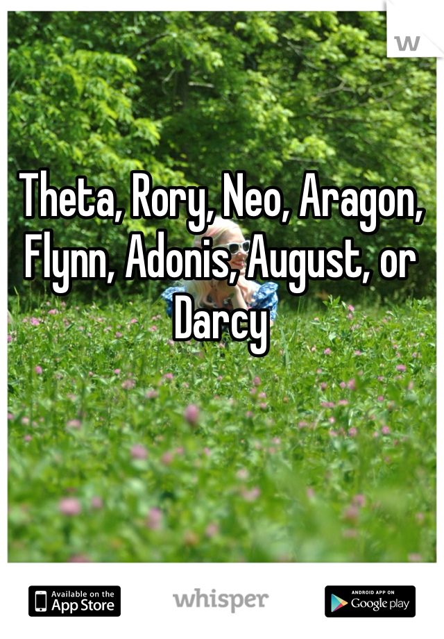 Theta, Rory, Neo, Aragon, Flynn, Adonis, August, or Darcy   