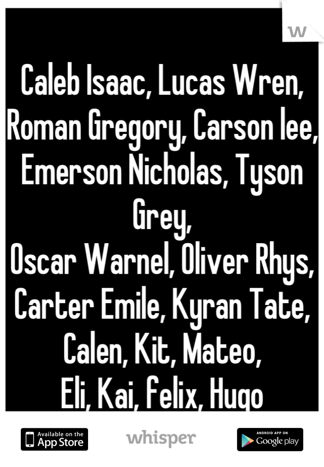 
Caleb Isaac, Lucas Wren,
Roman Gregory, Carson lee,
Emerson Nicholas, Tyson Grey,
Oscar Warnel, Oliver Rhys,
Carter Emile, Kyran Tate,
Calen, Kit, Mateo,
Eli, Kai, felix, Hugo
