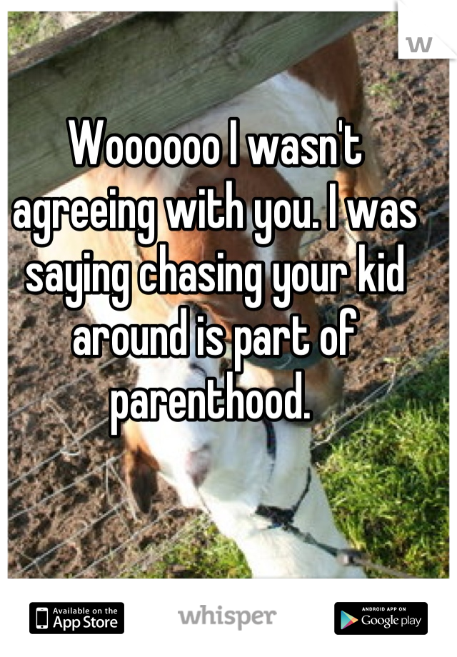 Woooooo I wasn't agreeing with you. I was saying chasing your kid around is part of parenthood. 