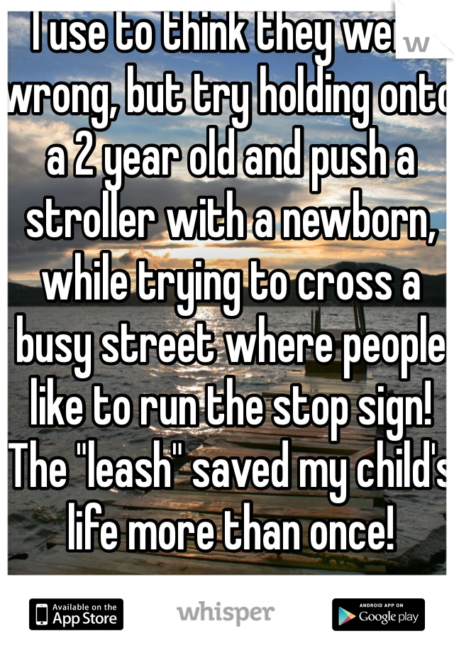 I use to think they were wrong, but try holding onto a 2 year old and push a stroller with a newborn, while trying to cross a busy street where people like to run the stop sign! The "leash" saved my child's life more than once!