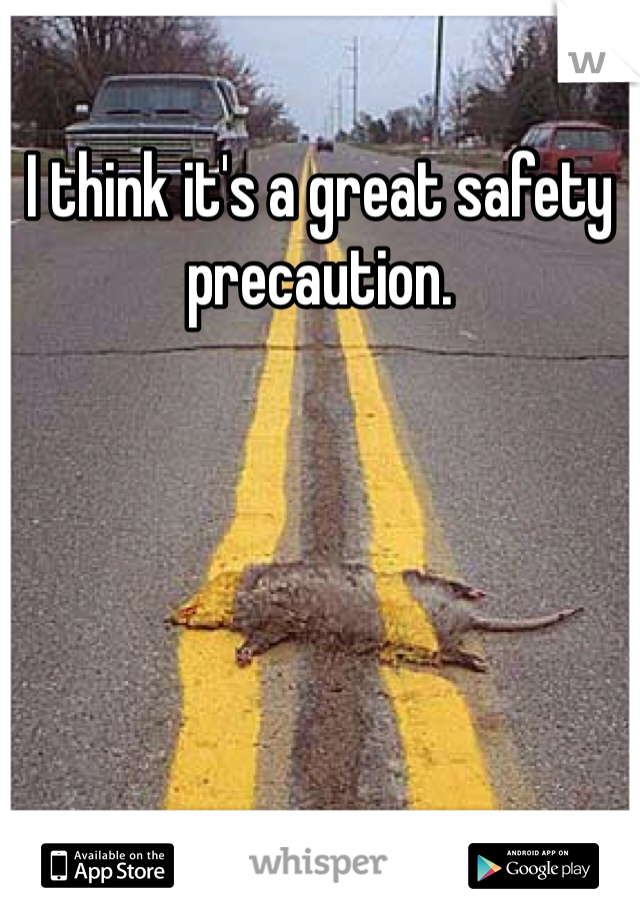 I think it's a great safety precaution.