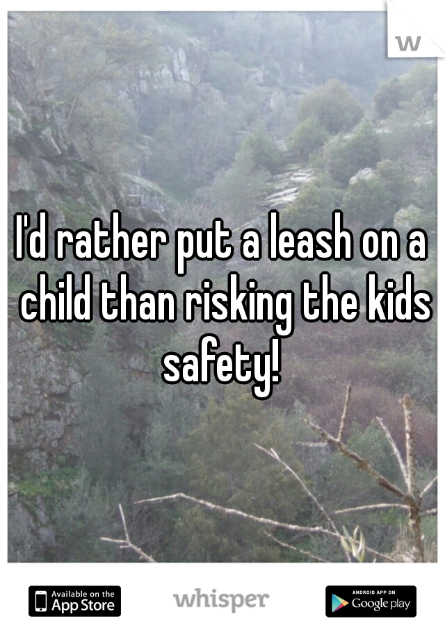 I'd rather put a leash on a child than risking the kids safety! 