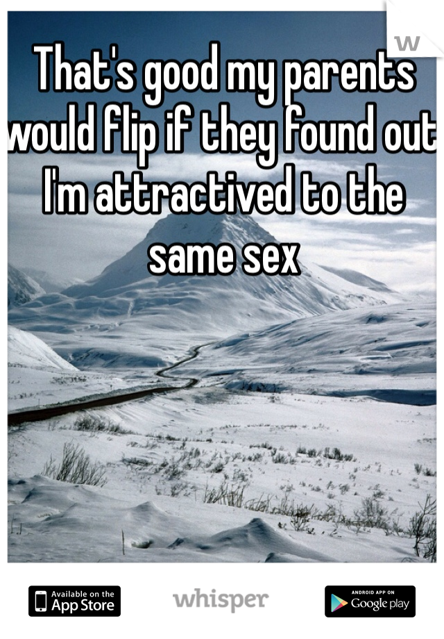 That's good my parents would flip if they found out I'm attractived to the same sex