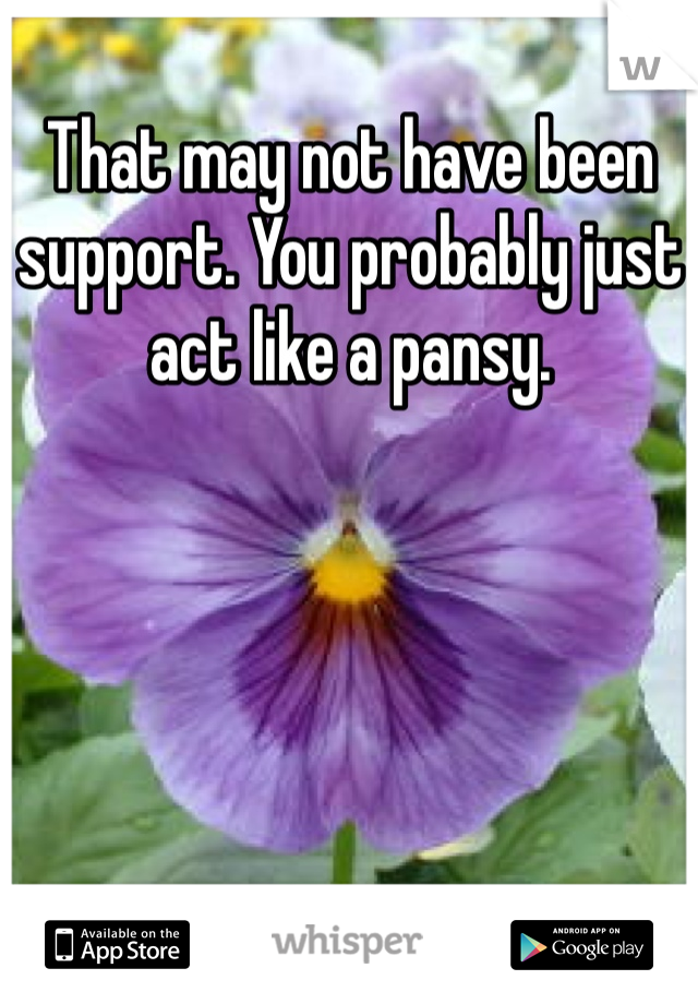 That may not have been support. You probably just act like a pansy. 